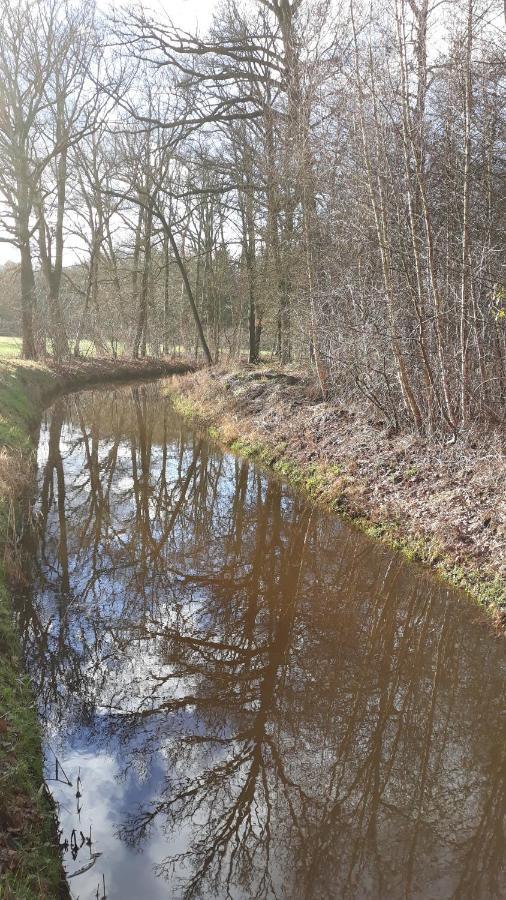 Bospareltjes Luxe Alleen Voor Recreatie Chalet Oisterwijk