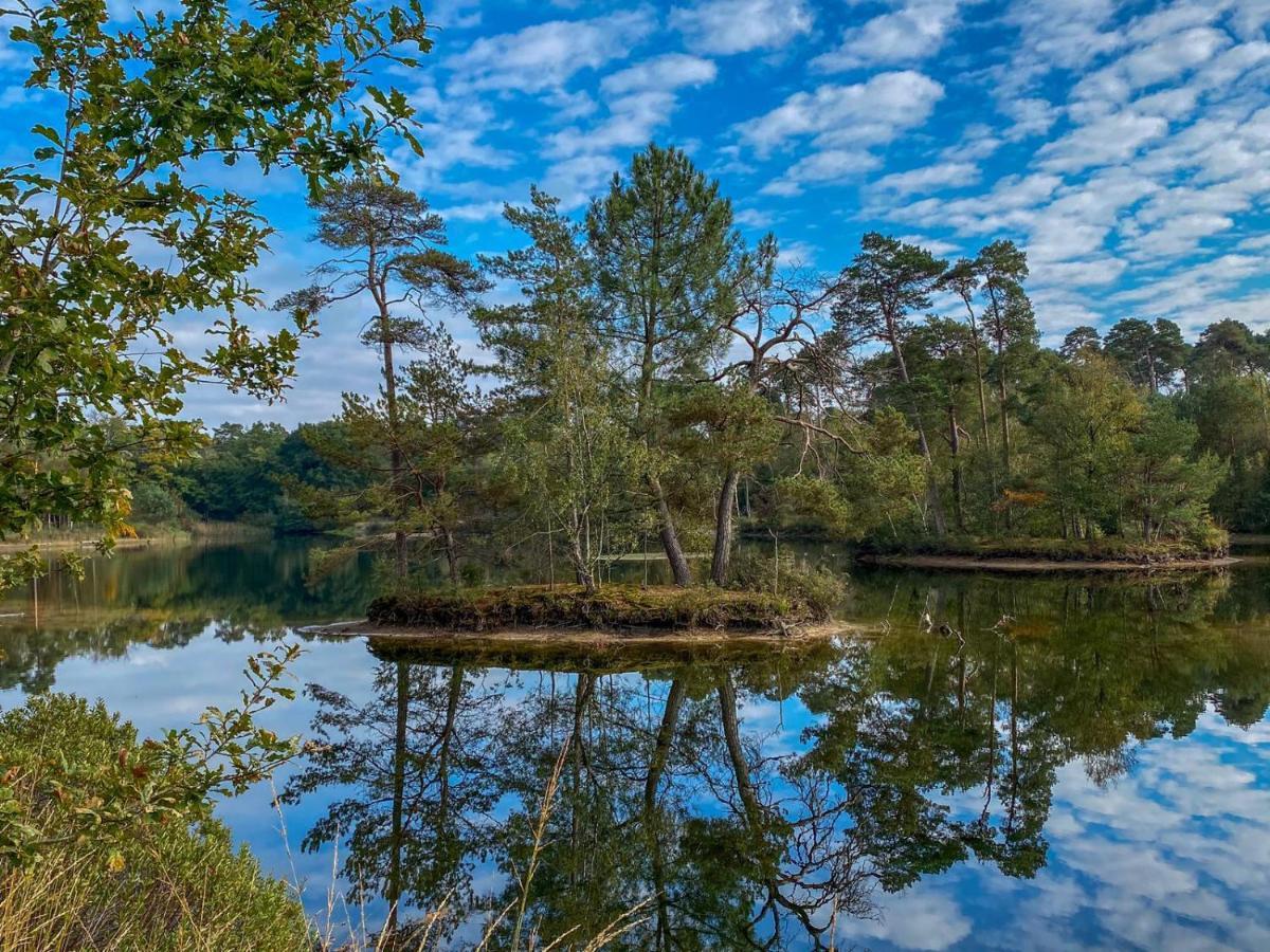 Bospareltjes Luxe Alleen Voor Recreatie *